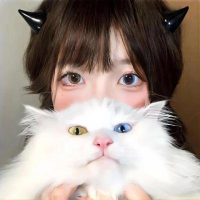 同居房客粤语